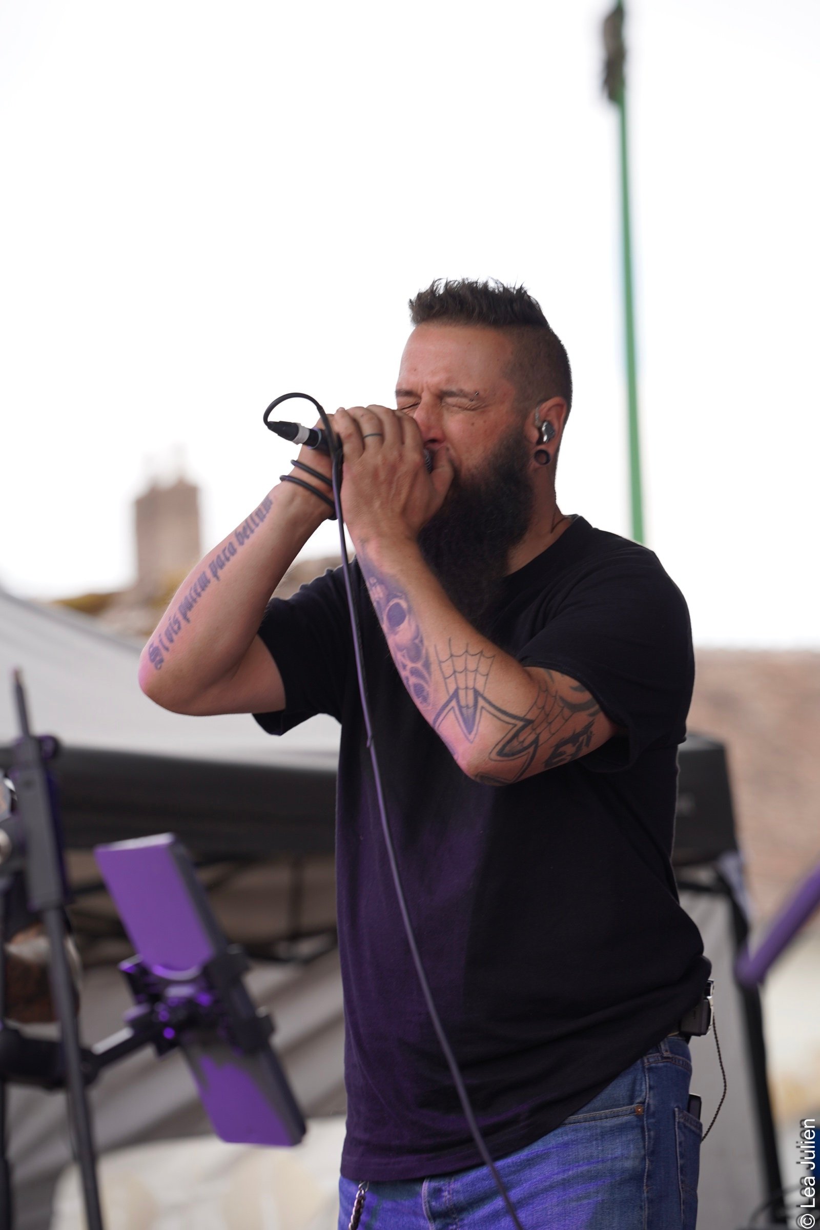 Cédric au chant au Rétroactive Festival